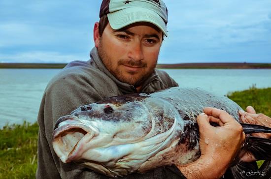 Jurnalul lui gor965: Anul fara numar